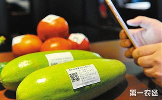 記錄前世今生 北京農產品身份證，追溯保障安心消費