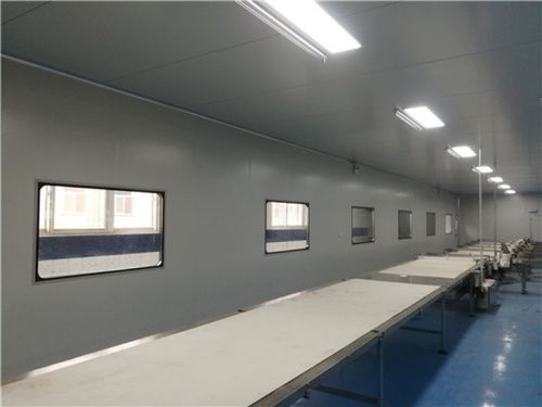 山東濟(jì)南食品廠凈化車間凈化工程與裝飾裝修施工全解析
